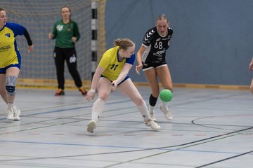 Bild 212 - F HSG Pinnau2 - Rellinger TV2 : Ergebnis: 27:20